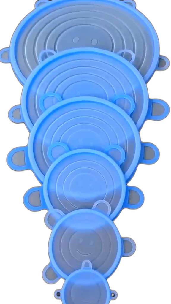 FlexiSeal — Stretch-Fit Silicone Lids (6-Pack)