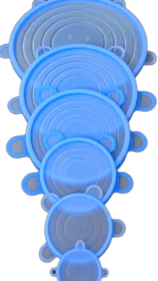 FlexiSeal — Stretch-Fit Silicone Lids (6-Pack)